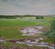 Field With Puddles